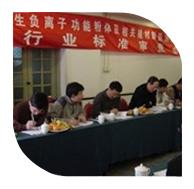 2006年3月10日，“產(chǎn)生負離子功能粉體及相關(guān)建材制品測試方法”行業(yè)標準審查會在北京召開。
